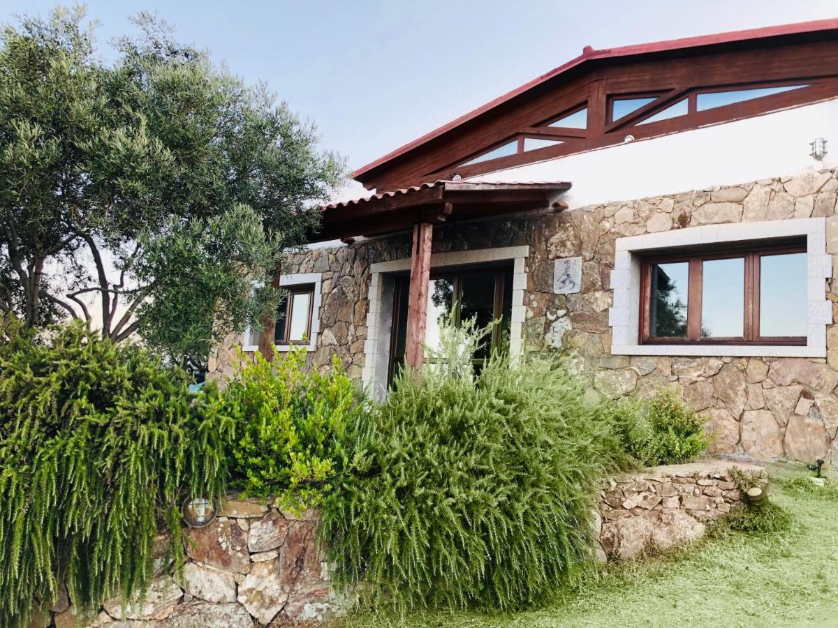 Trasicca B&B Brunella Ngoại thất bức ảnh