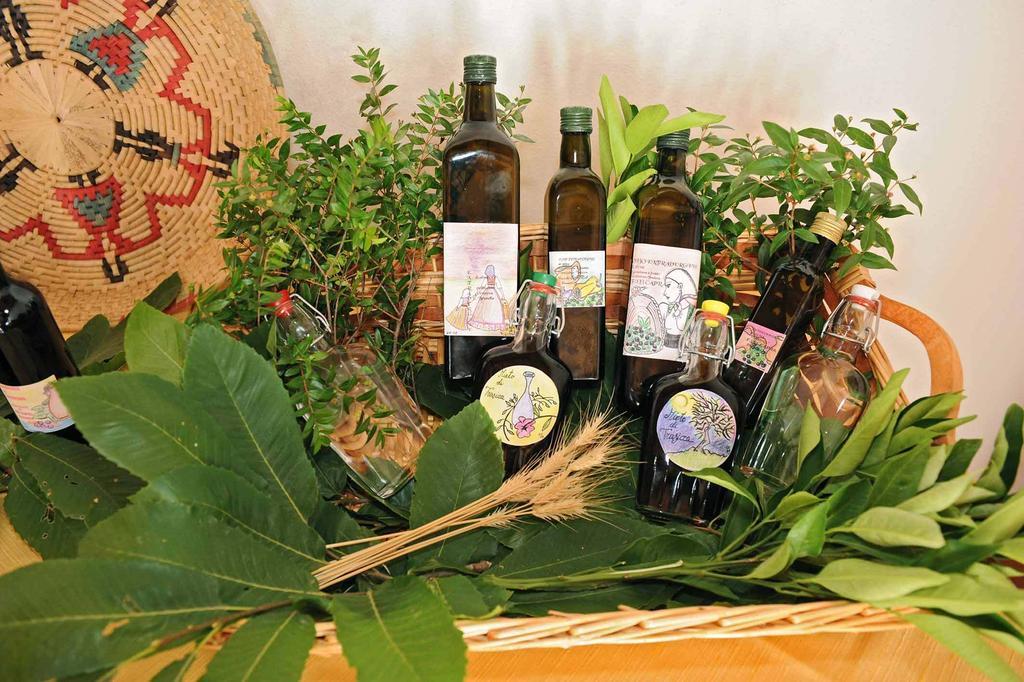 Trasicca B&B Brunella Ngoại thất bức ảnh